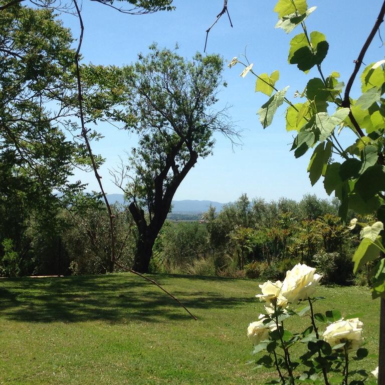 Bed and Breakfast Residenza Santa Maria In Borraccia Magliano in Toscana Exterior foto