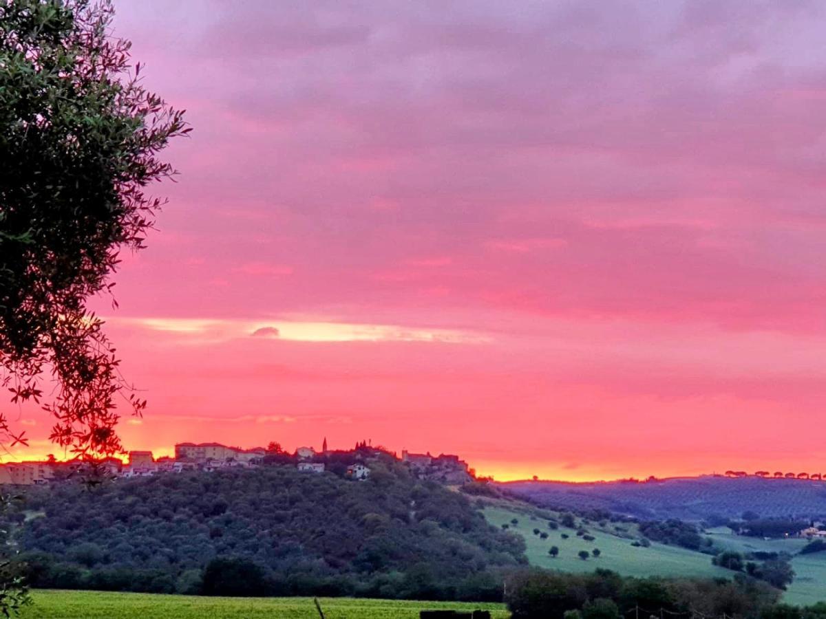 Bed and Breakfast Residenza Santa Maria In Borraccia Magliano in Toscana Exterior foto